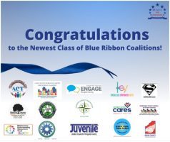 Blue ribbon coalition post
